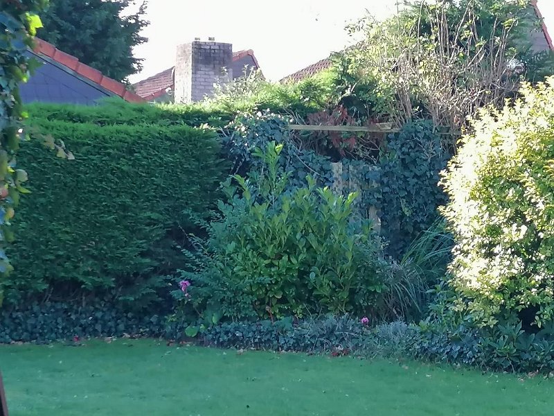 Garten 11