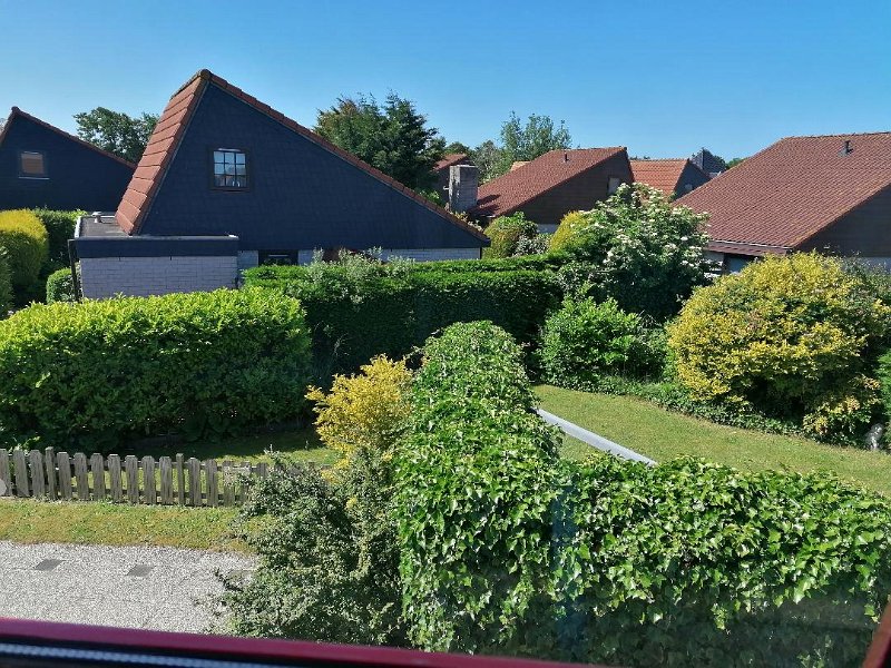 Garten 12