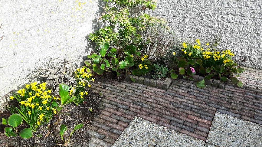 Garten 15