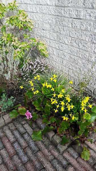 Garten 18