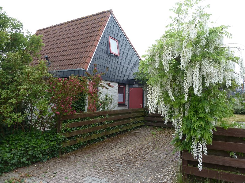 Garten 20