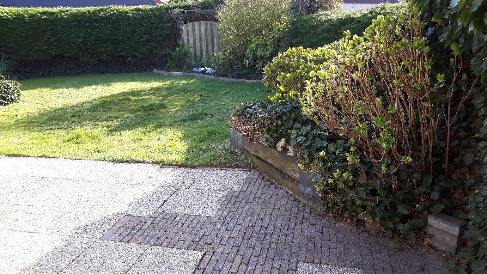 Garten 4