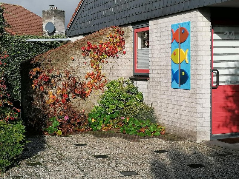Garten 6