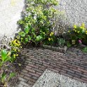 Garten 15