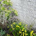 Garten 18