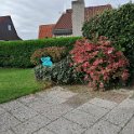 Garten 2