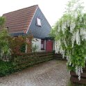 Garten 20