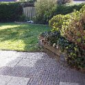 Garten 4