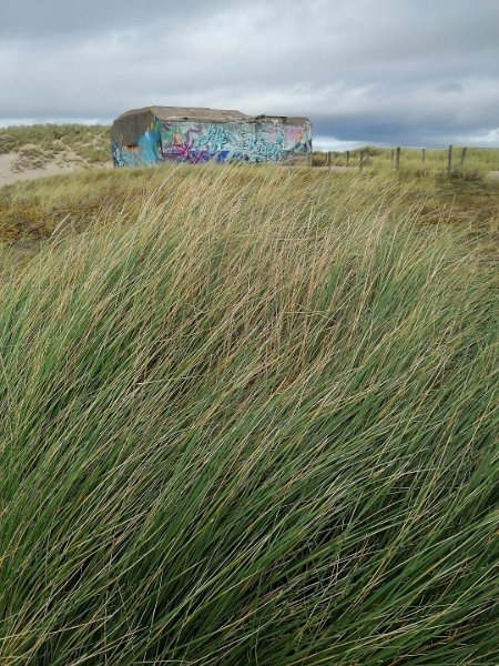 Dorf3