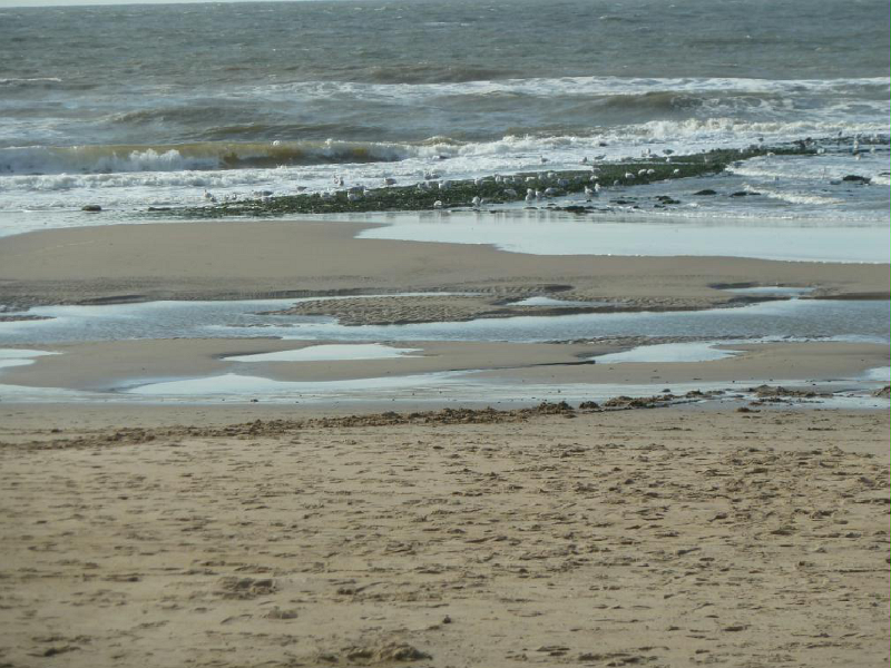 Strand1