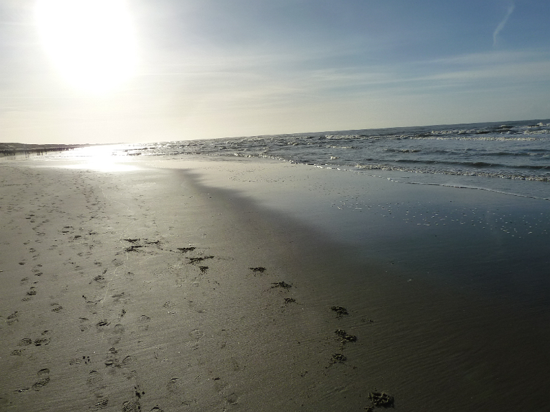 Strand10