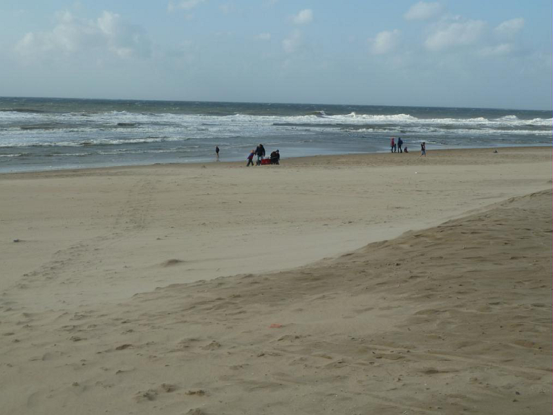 Strand12