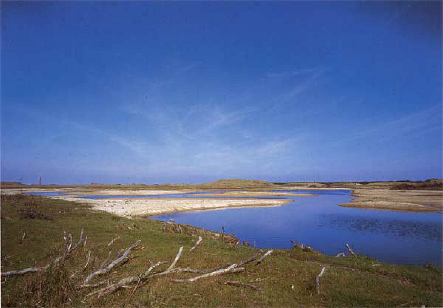 Strand13