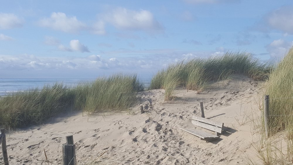 Strand15