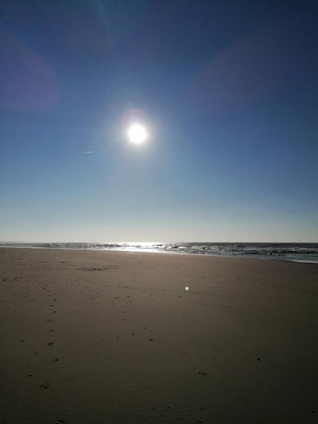 Strand16