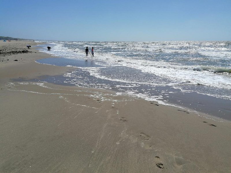 Strand19