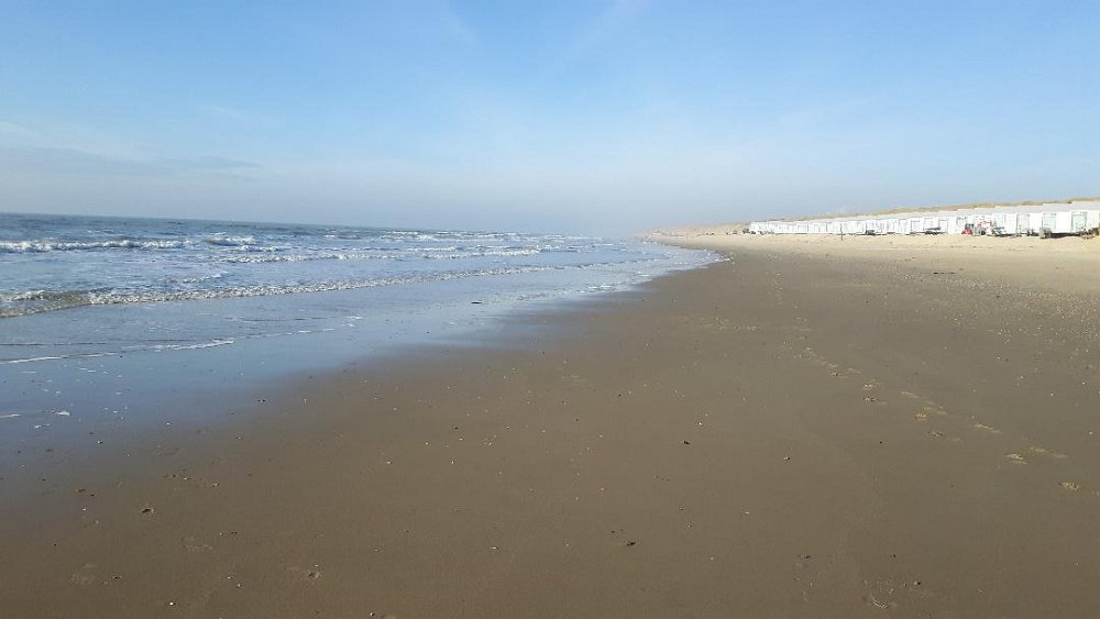 Strand21