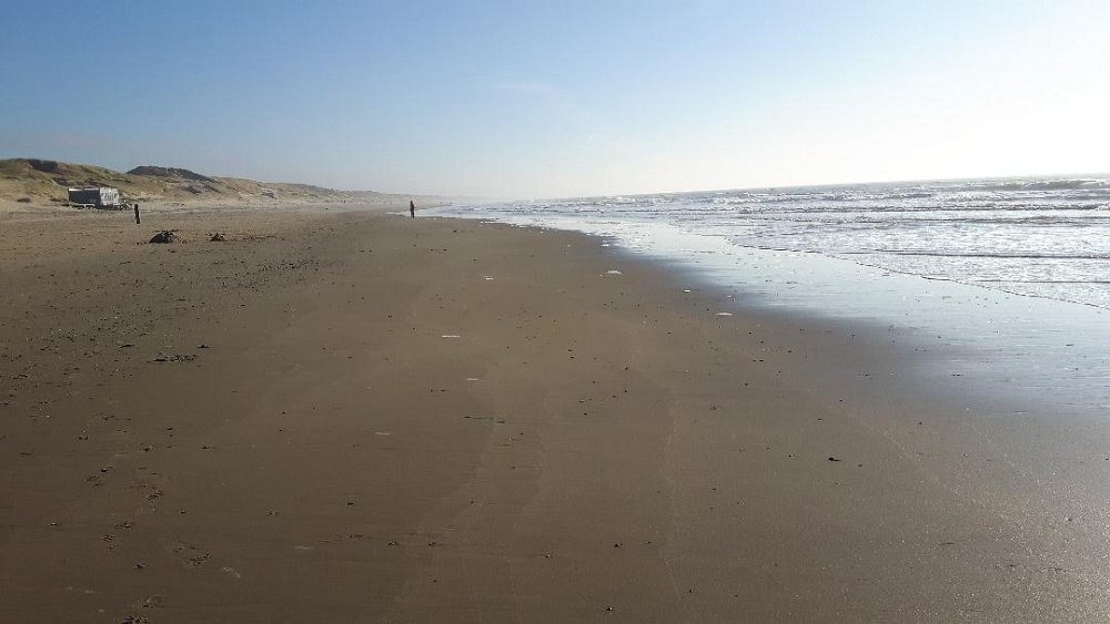 Strand22