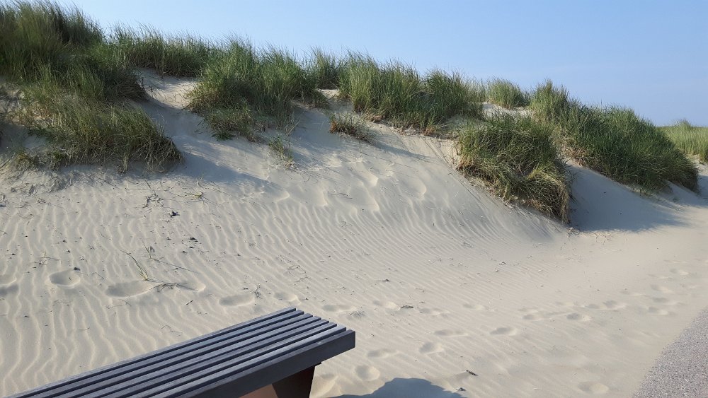 Strand24