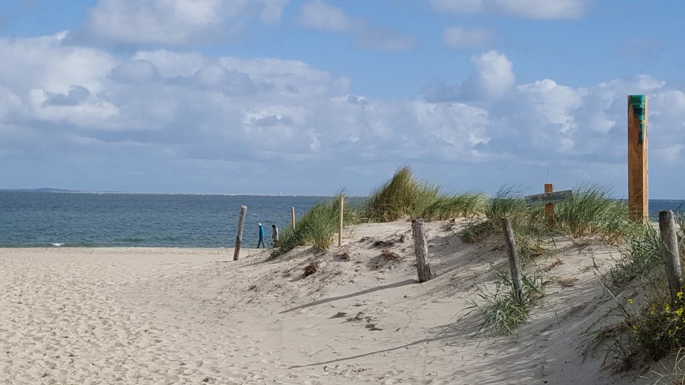 Strand29