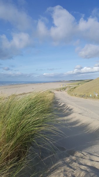 Strand31