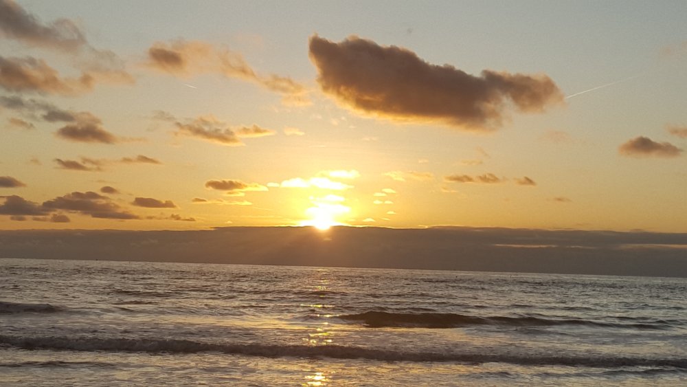 Strand33
