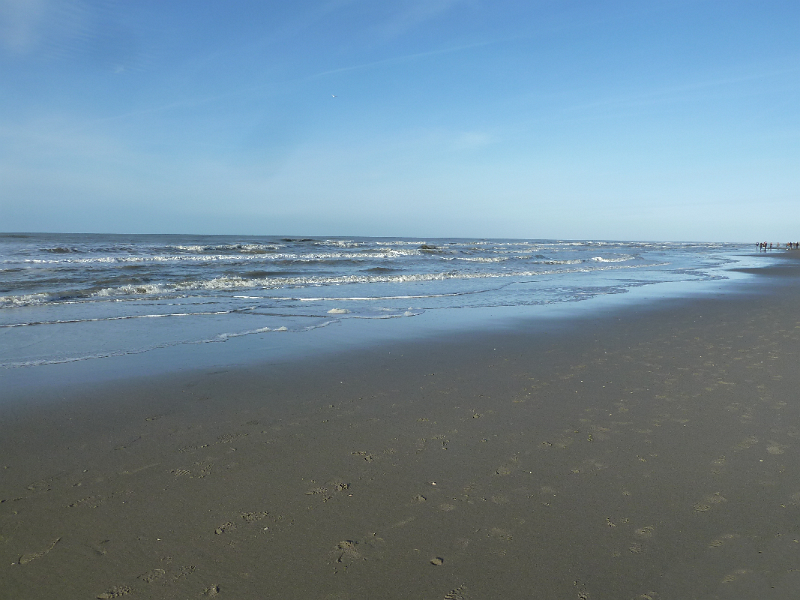 Strand8