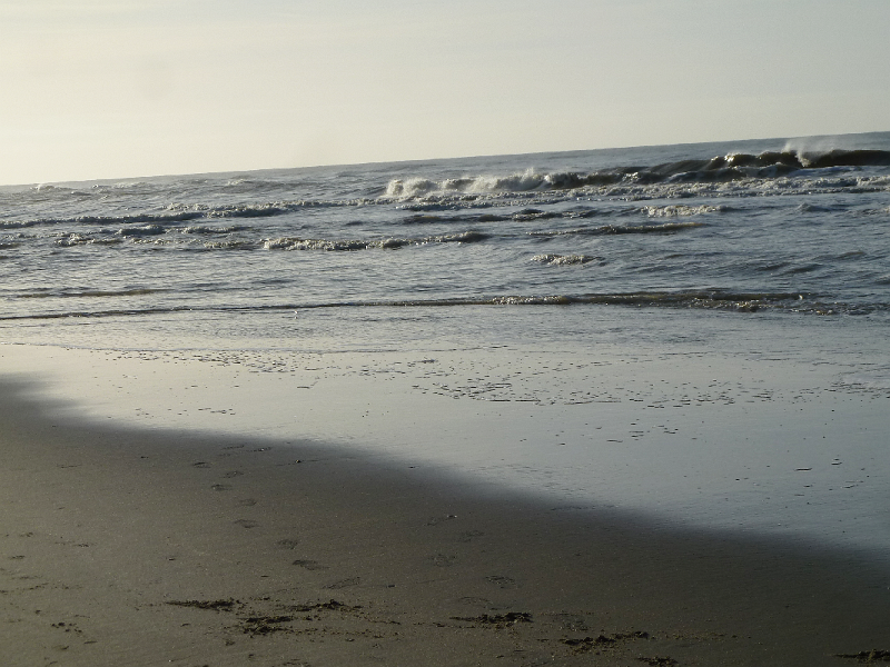 Strand9