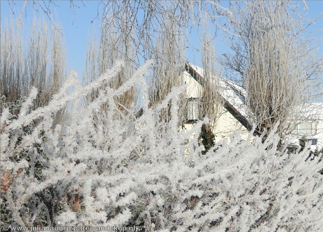 Winter1