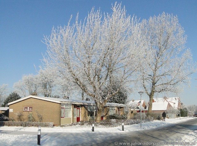 Winter2