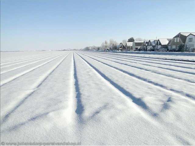 Winter6