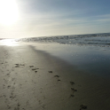Strand10