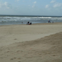 Strand12
