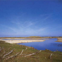 Strand13