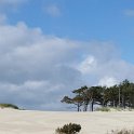 Strand14