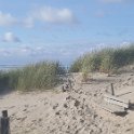 Strand15