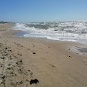 Strand18