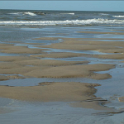 Strand2