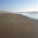 Strand22