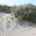 Strand23