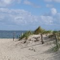 Strand29