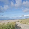 Strand31
