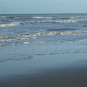 Strand7