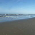 Strand8