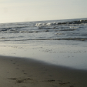 Strand9