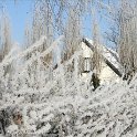 Winter1